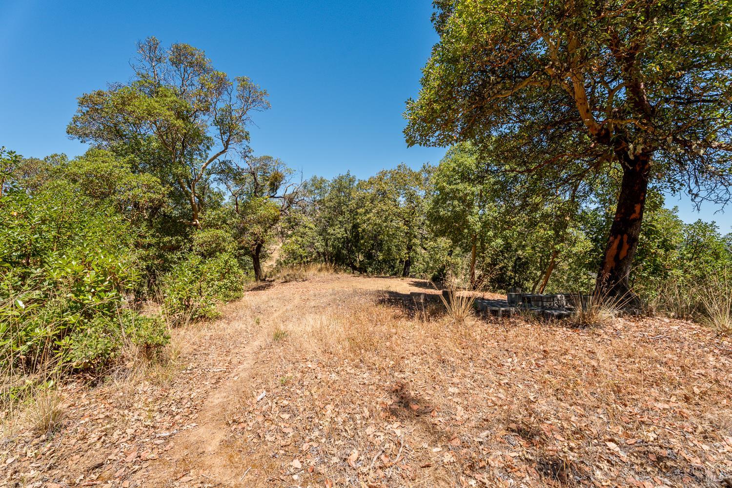 8970 Feliz Creek Drive Ukiah CA 95482