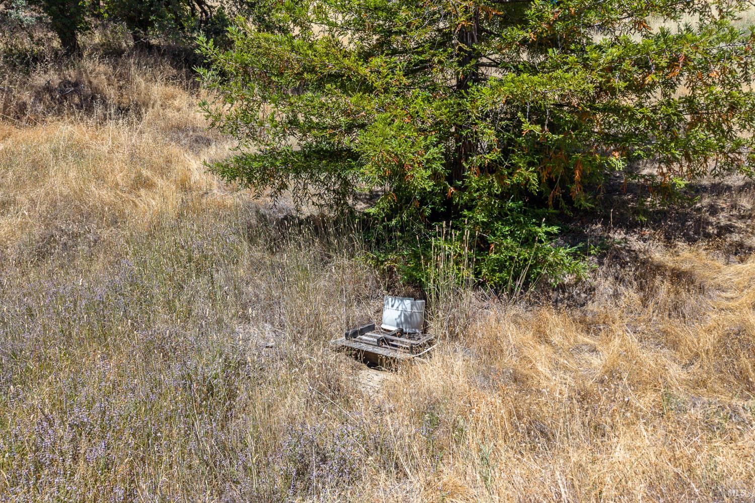 8970 Feliz Creek Drive Ukiah CA 95482