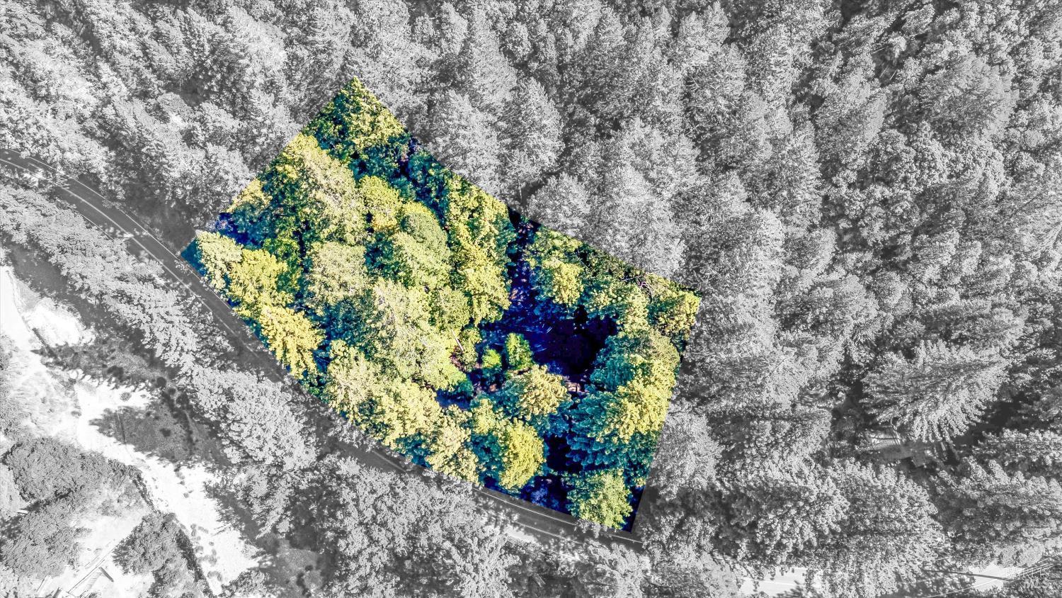 4350 Cazadero Highway Cazadero CA 95421