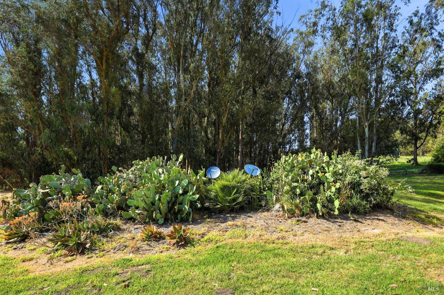 7470 Roblar Road Petaluma CA 94952