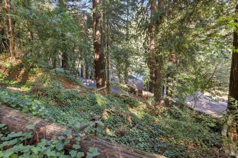 14619 Eagle Nest Lane Guerneville CA 95446