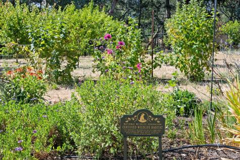 4395 Pine Flat Road Healdsburg CA 95448