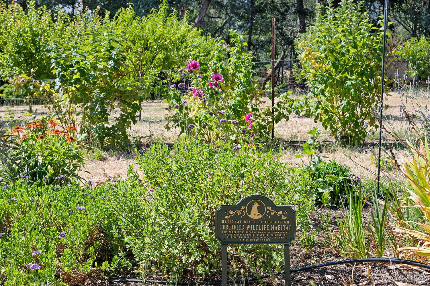 4395 Pine Flat Road Healdsburg CA 95448