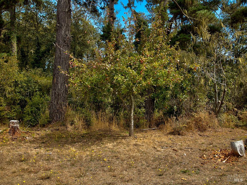 32840 Boice Lane Fort Bragg CA 95437