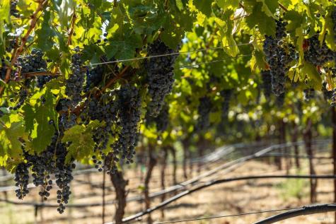 13700 Rockpile Road Geyserville CA 95441