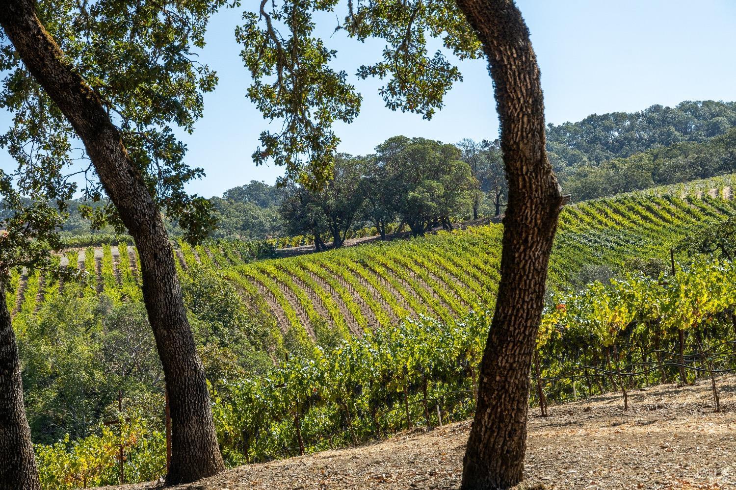 13700 Rockpile Road Geyserville CA 95441