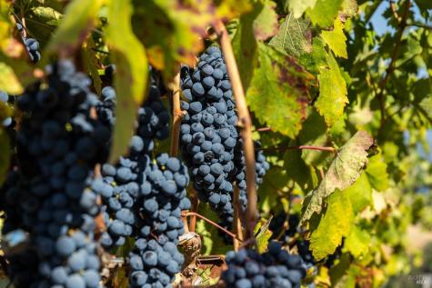 13700 Rockpile Road Geyserville CA 95441