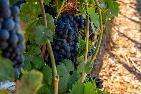 13700 Rockpile Road Geyserville CA 95441