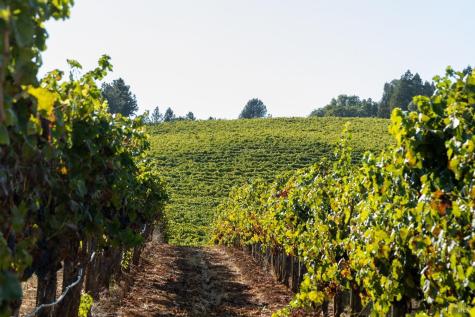 13700 Rockpile Road Geyserville CA 95441