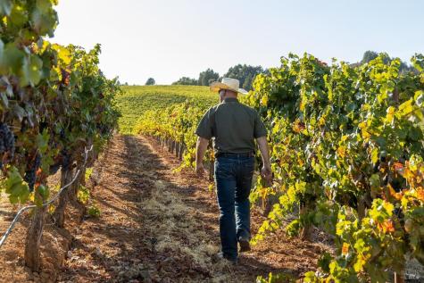 13700 Rockpile Road Geyserville CA 95441