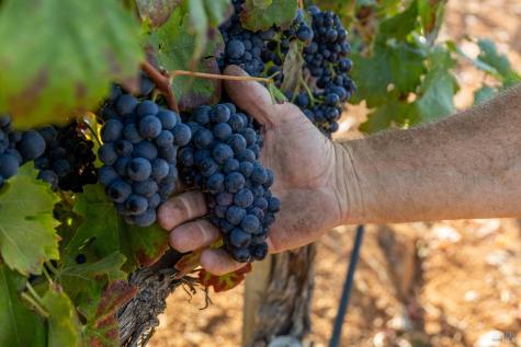 13700 Rockpile Road Geyserville CA 95441