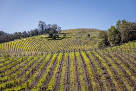 13700 Rockpile Road Geyserville CA 95441