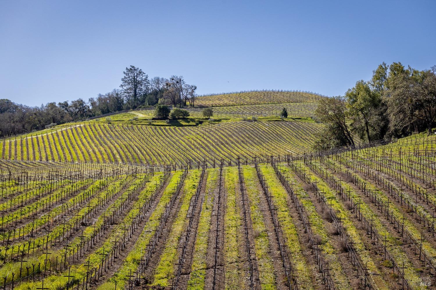 13700 Rockpile Road Geyserville CA 95441