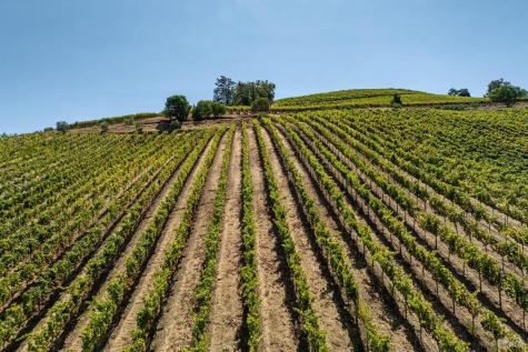 13700 Rockpile Road Geyserville CA 95441