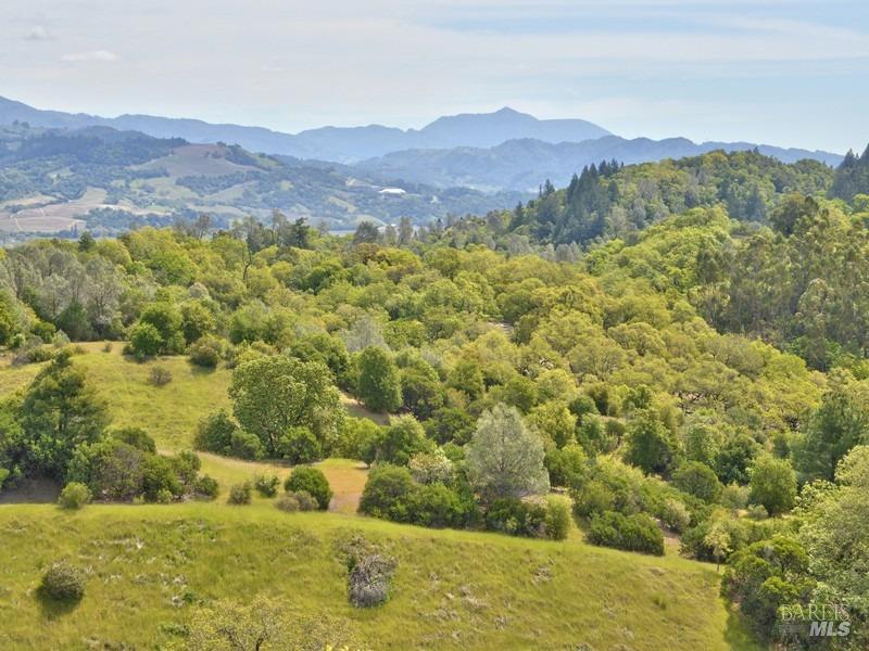 950 Canyon Road Geyserville CA 95441