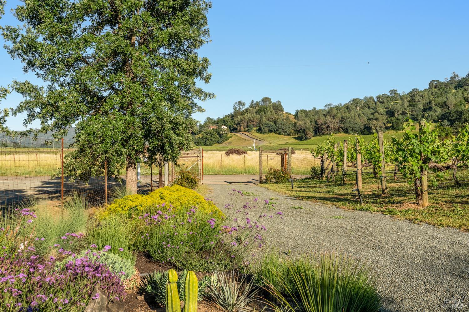 1785 Pope Canyon Road St. Helena CA 94574