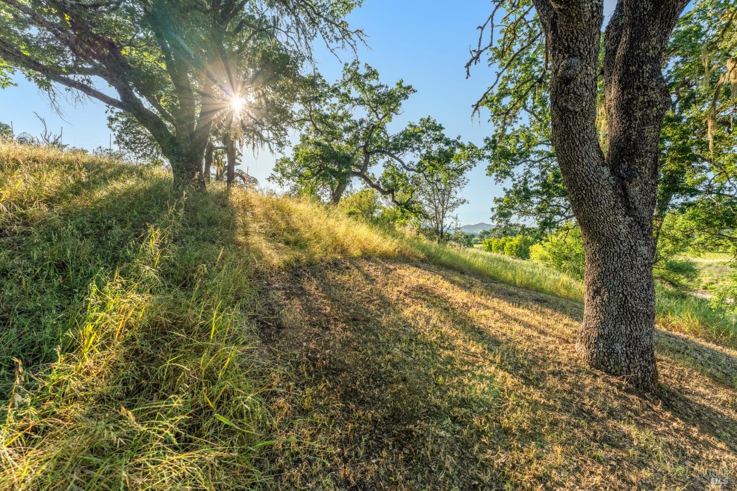 1785 Pope Canyon Road St. Helena CA 94574