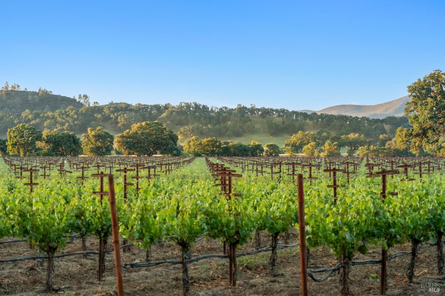 1785 Pope Canyon Road St. Helena CA 94574