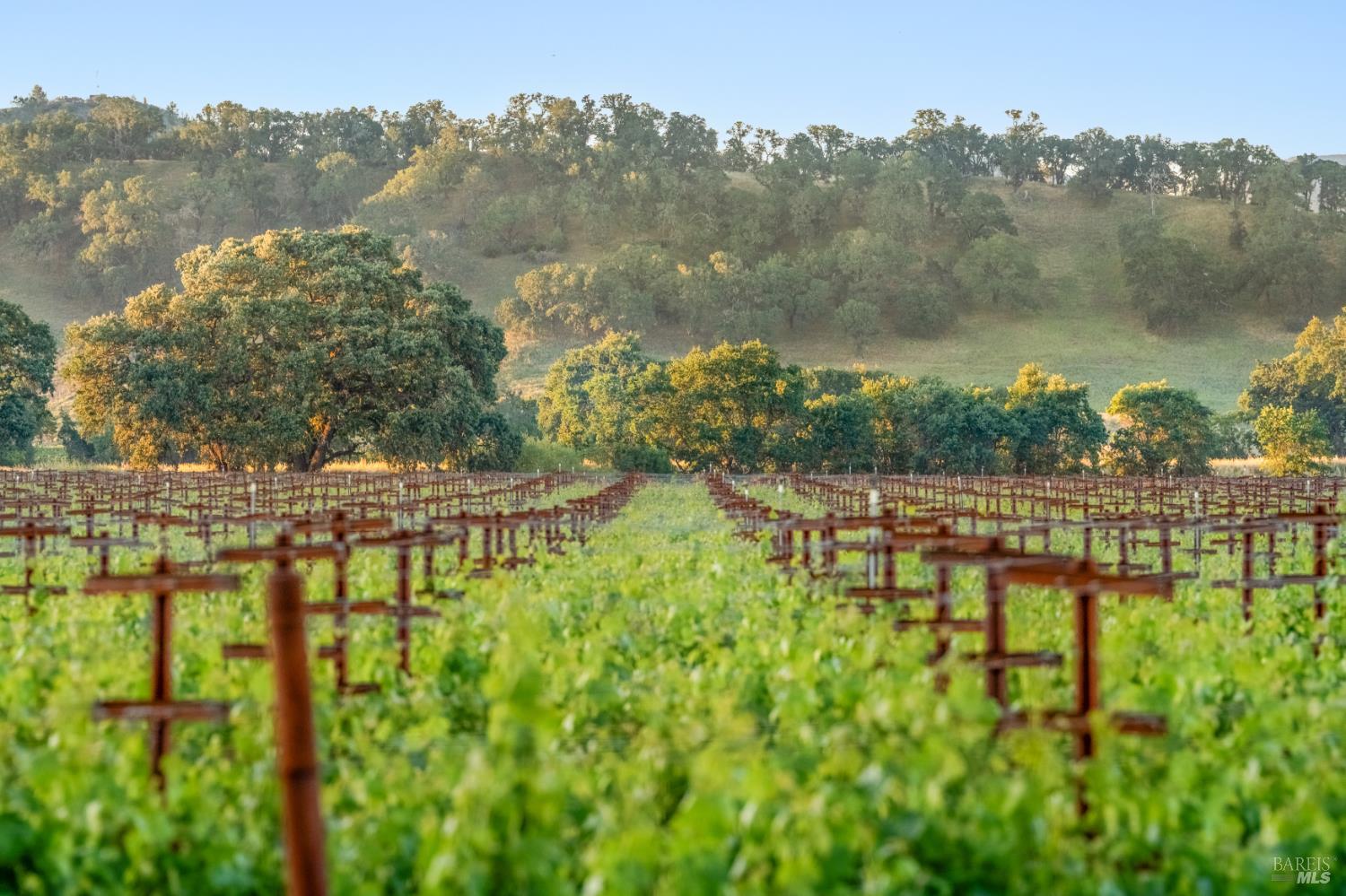 1785 Pope Canyon Road St. Helena CA 94574