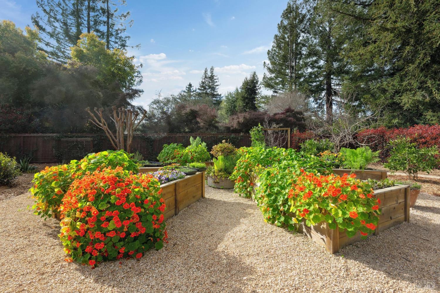 1222 Apple Tree Court Sonoma CA 95476