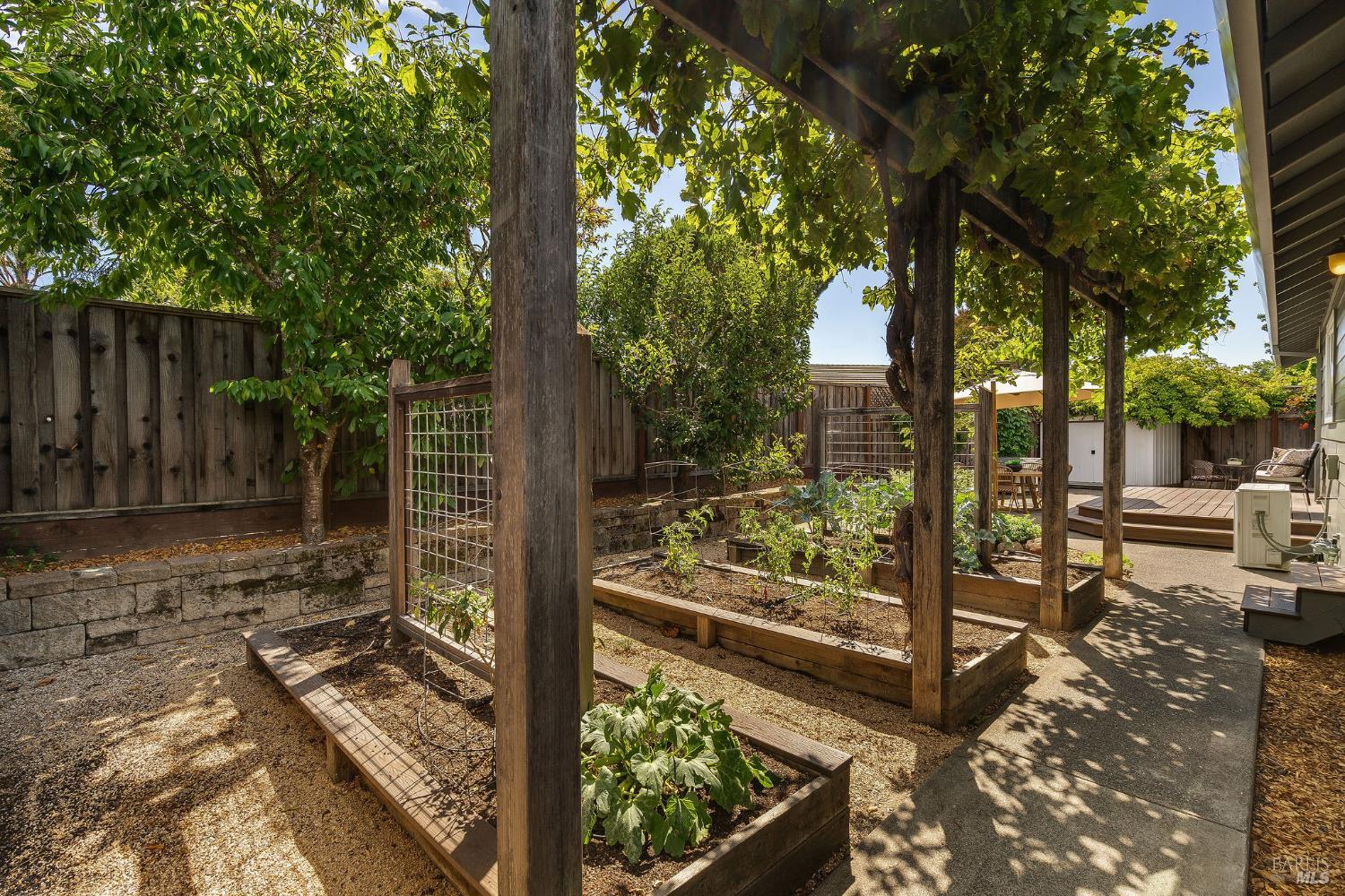 614 Shagbark Street Windsor CA 95492