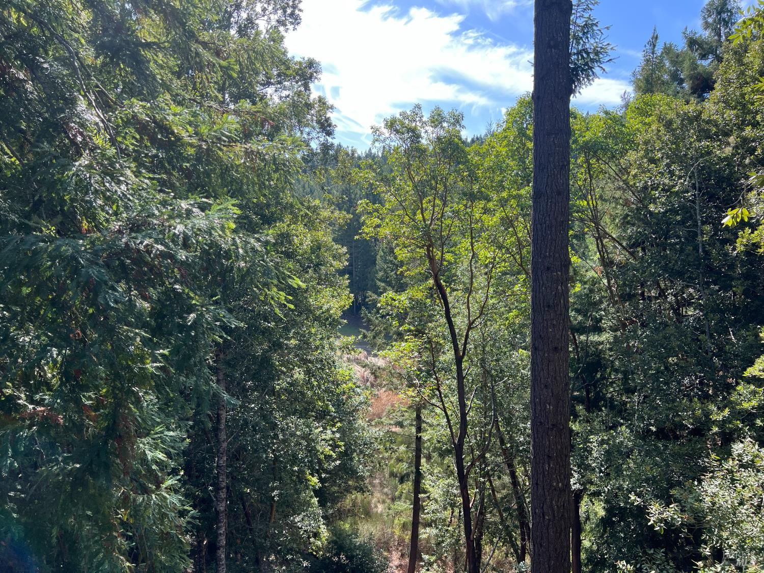 26095 Poppy Drive Willits CA 95490