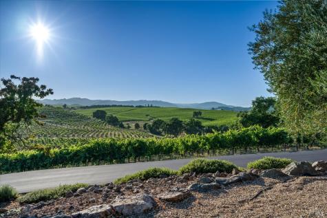 25084 Asti Road Geyserville CA 95425