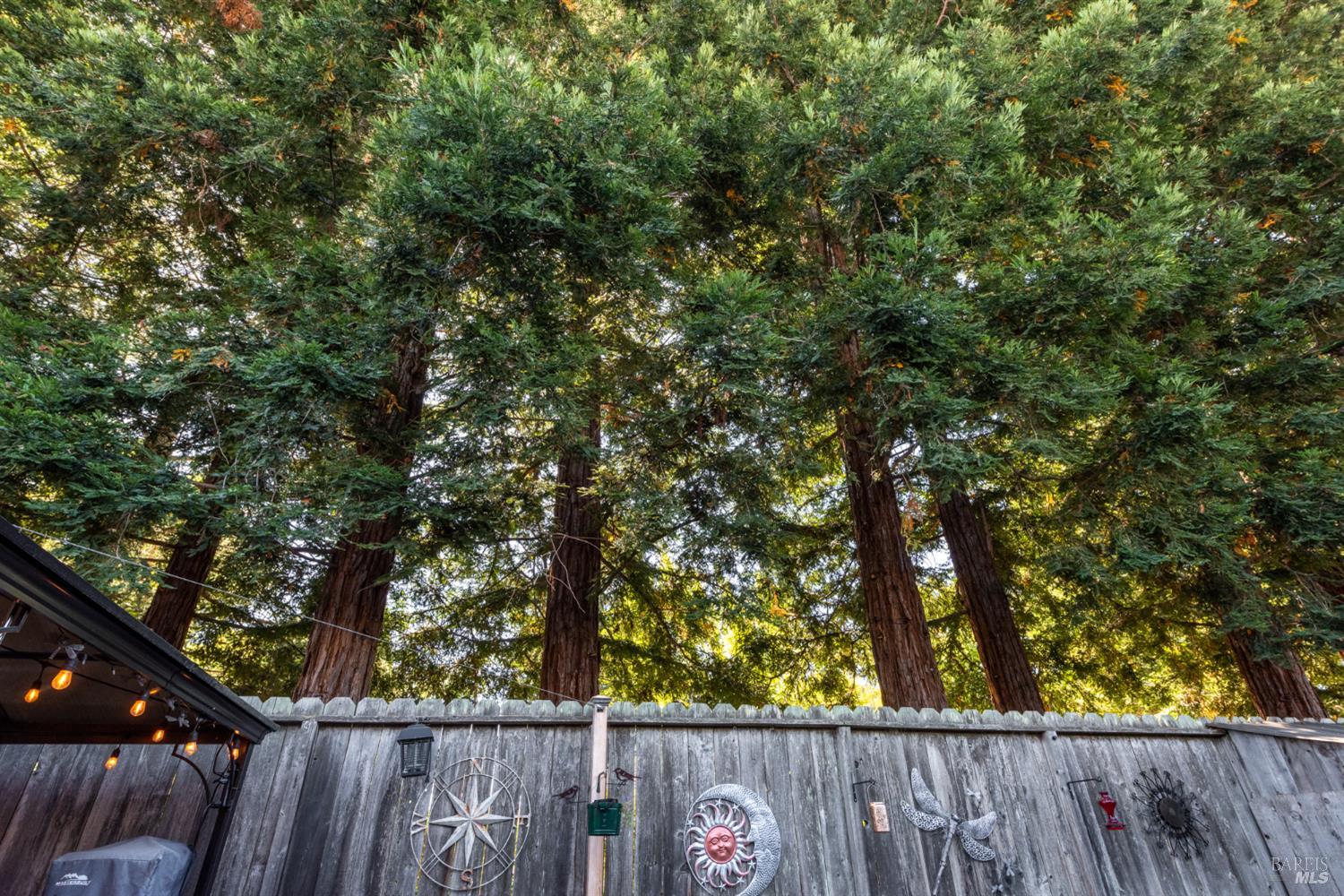 15 Vindel Lane Napa CA 94558