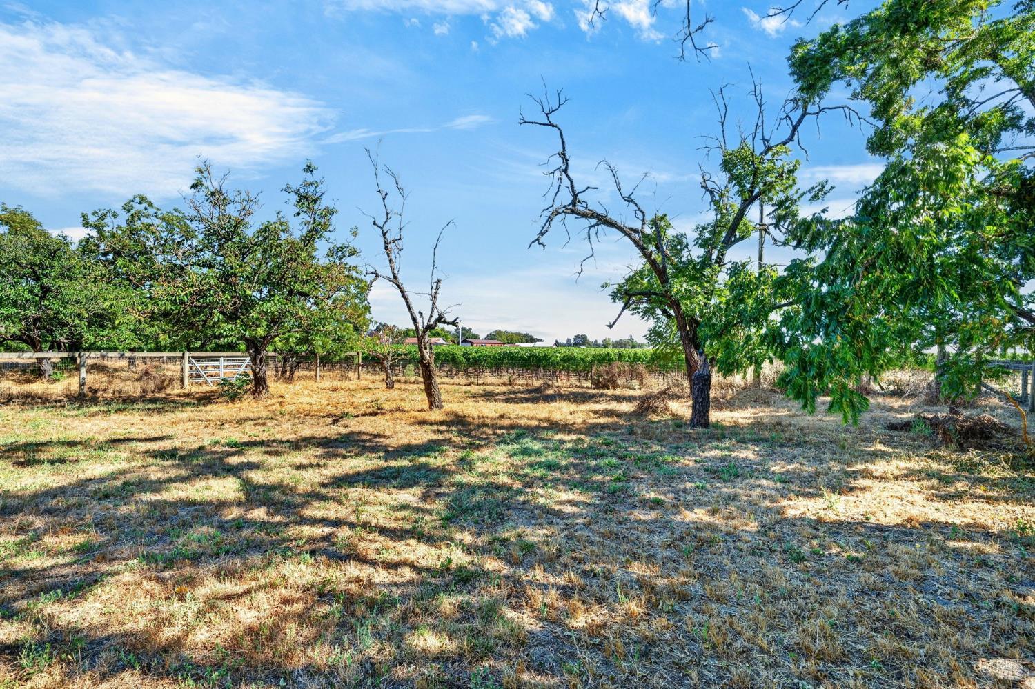 1623 Abramson Road Santa Rosa CA 95401