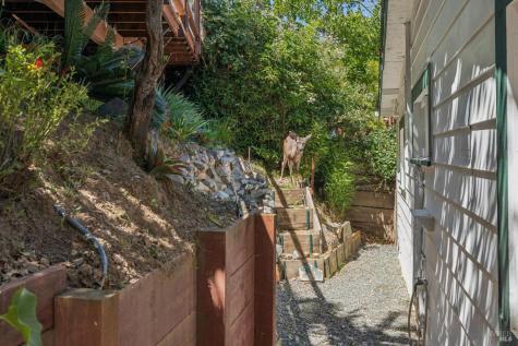 51 Berry Trail Fairfax CA 94930