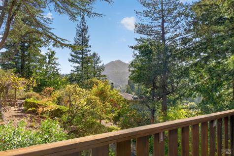 25 Elm Avenue Kentfield CA 94904