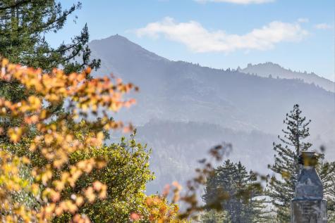25 Elm Avenue Kentfield CA 94904