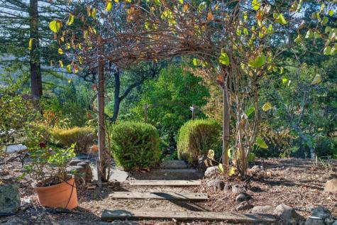 25 Elm Avenue Kentfield CA 94904