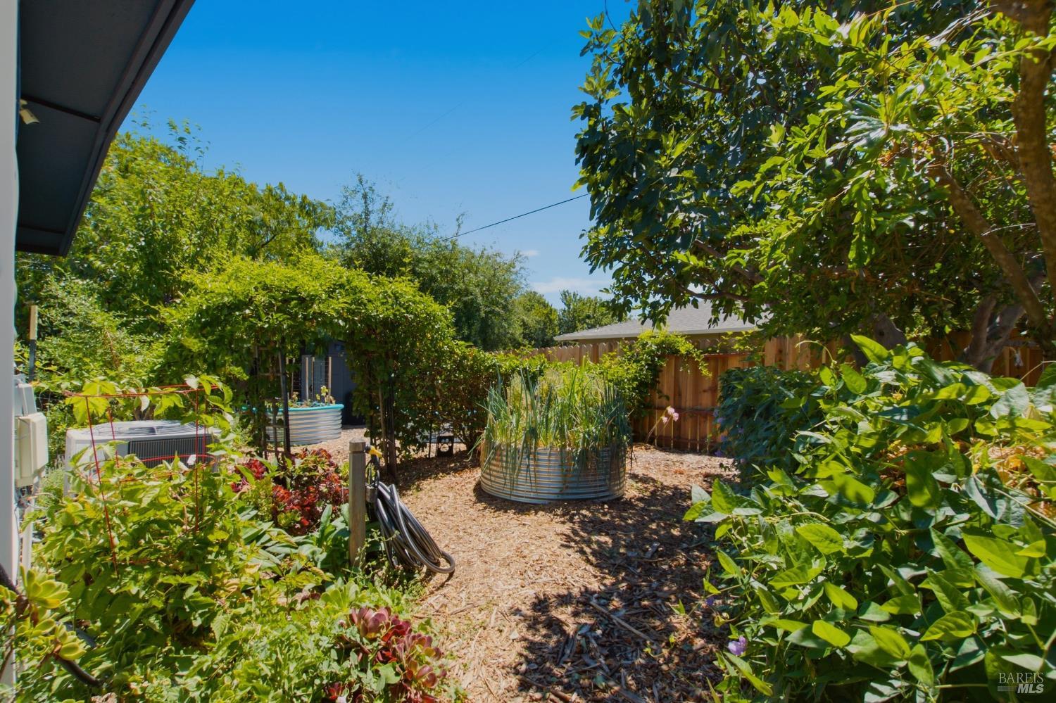 155 Donner Drive Vacaville CA 95687