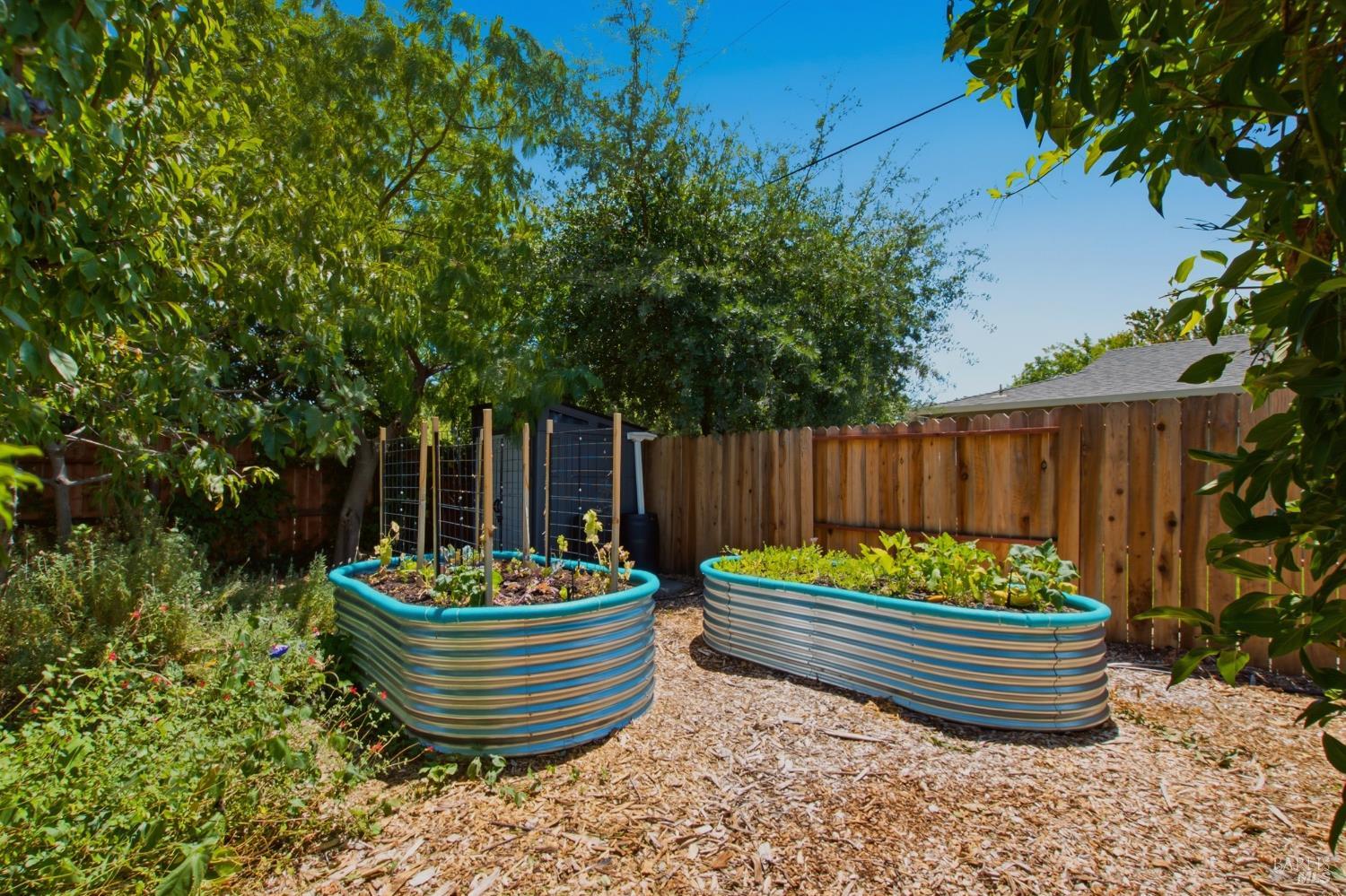 155 Donner Drive Vacaville CA 95687