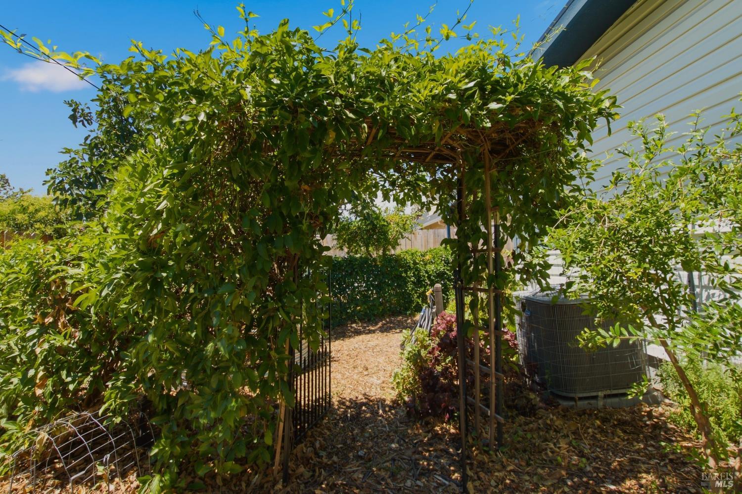 155 Donner Drive Vacaville CA 95687
