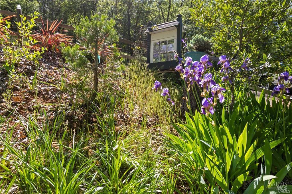 3062 Riviera Heights Drive Kelseyville CA 95451
