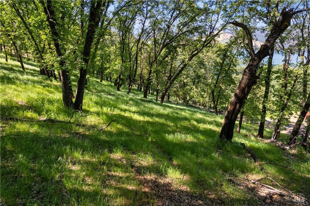3062 Riviera Heights Drive Kelseyville CA 95451