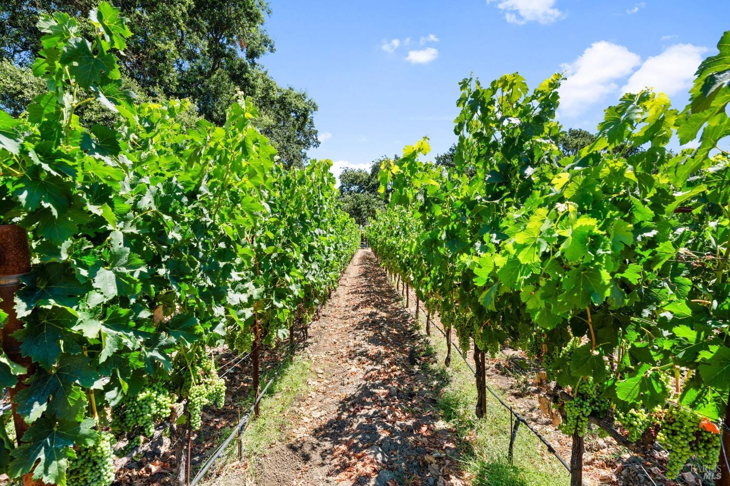 3140 Big Ranch Road Napa CA 94558