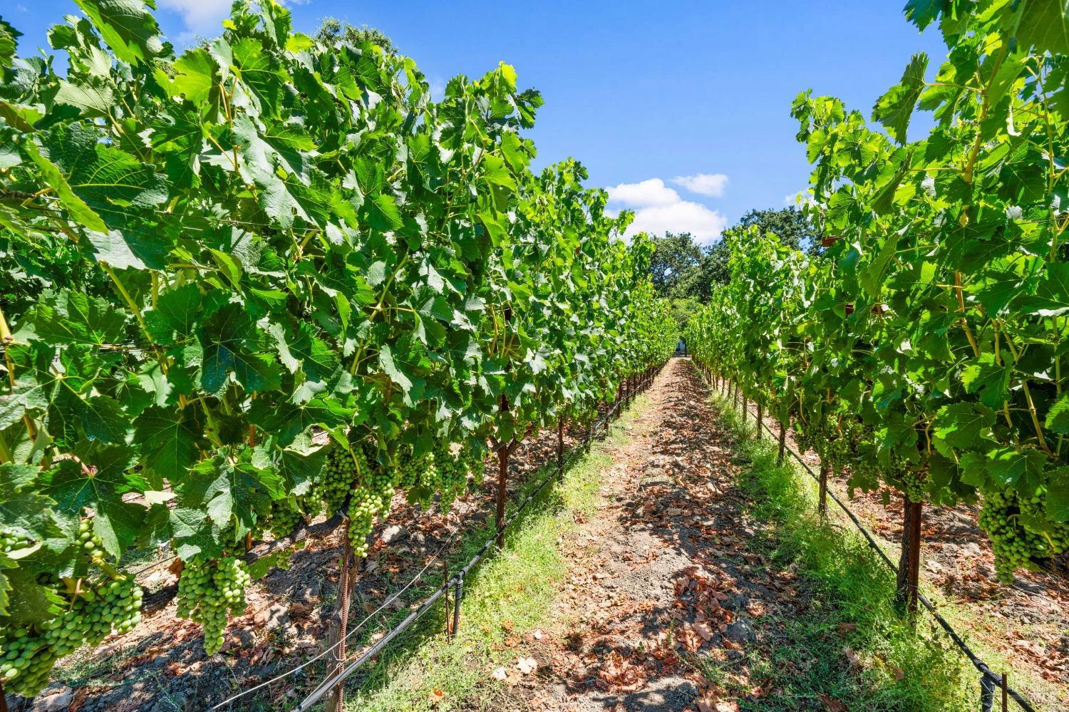 3140 Big Ranch Road Napa CA 94558