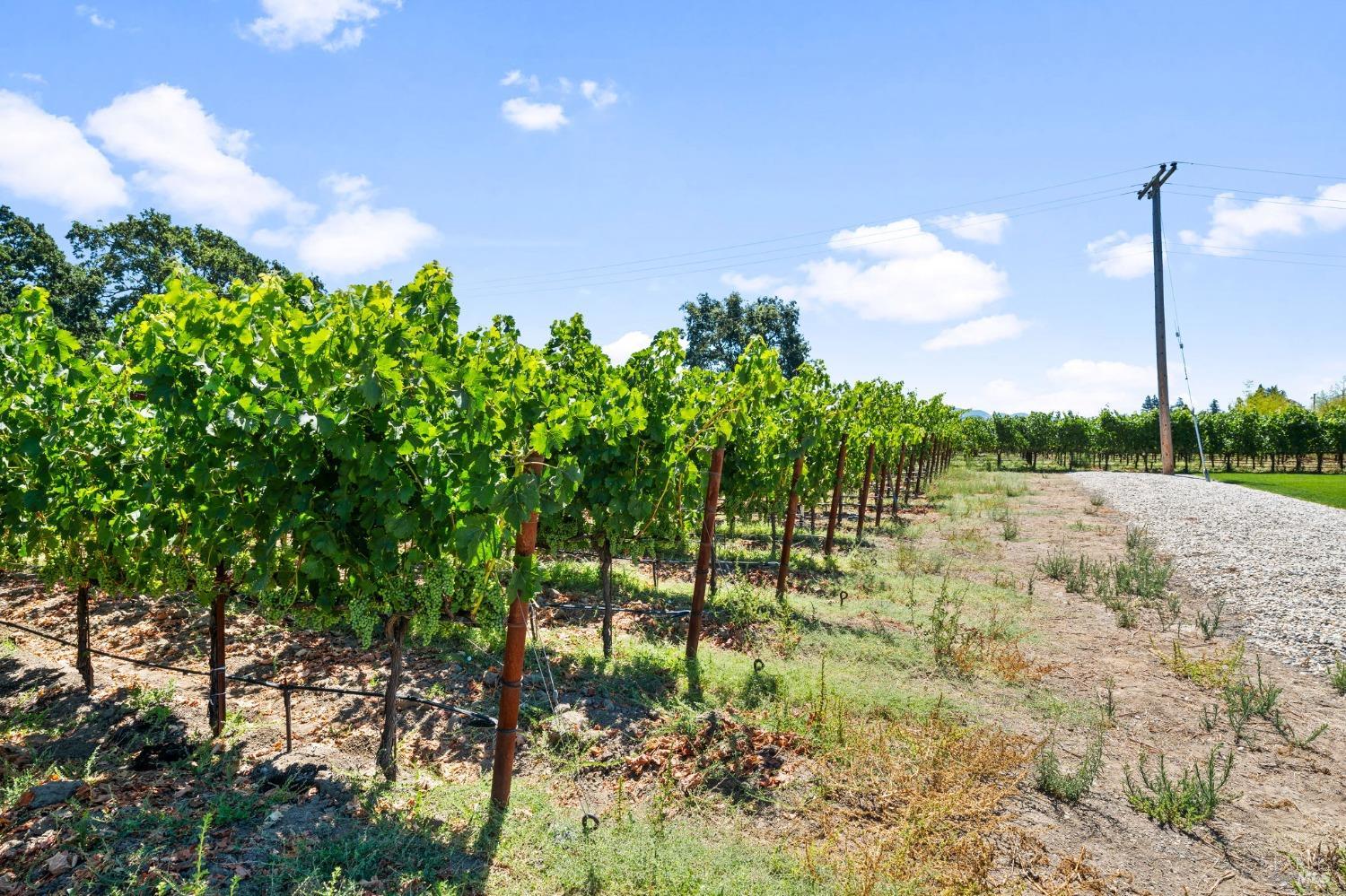 3140 Big Ranch Road Napa CA 94558