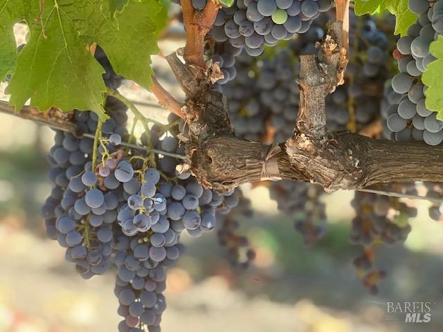 3140 Big Ranch Road Napa CA 94558