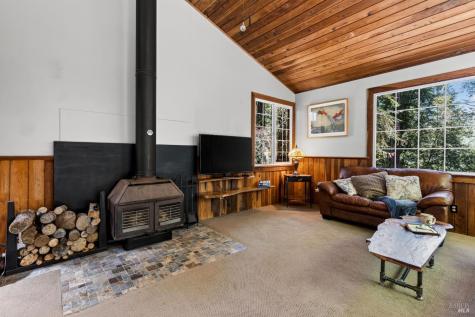 21731 Monte Vista Terrace Monte Rio CA 95462