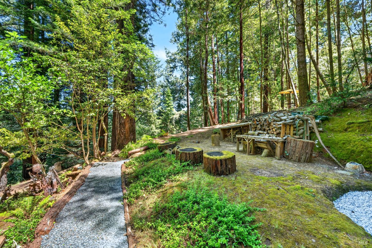 21731 Monte Vista Terrace Monte Rio CA 95462