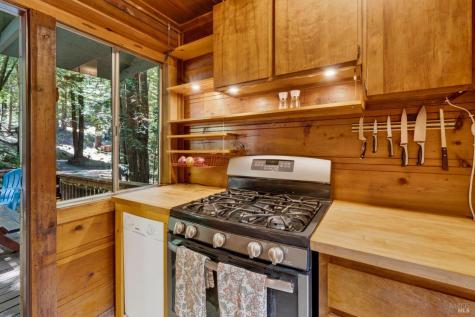 21731 Monte Vista Terrace Monte Rio CA 95462