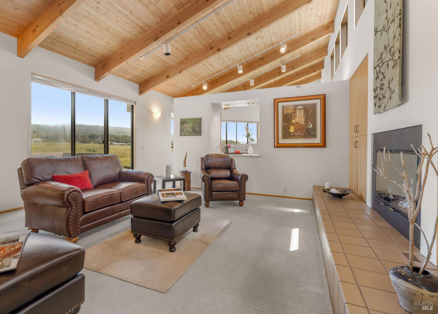 290 Del Mar Point The Sea Ranch CA 95497