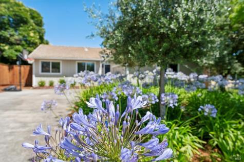 19024 Junipero Serra Drive Sonoma CA 95476