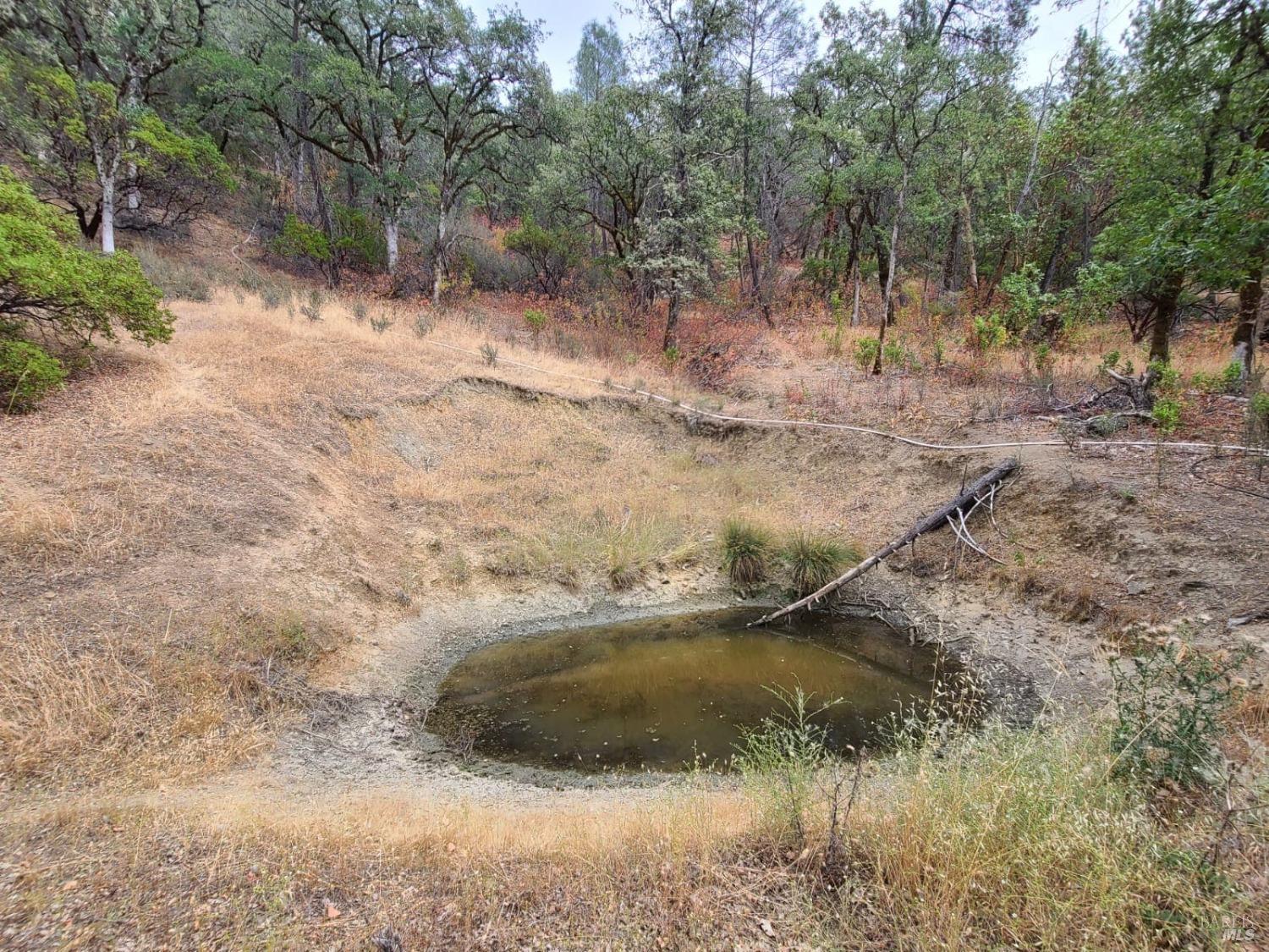 Covelo CA 95428