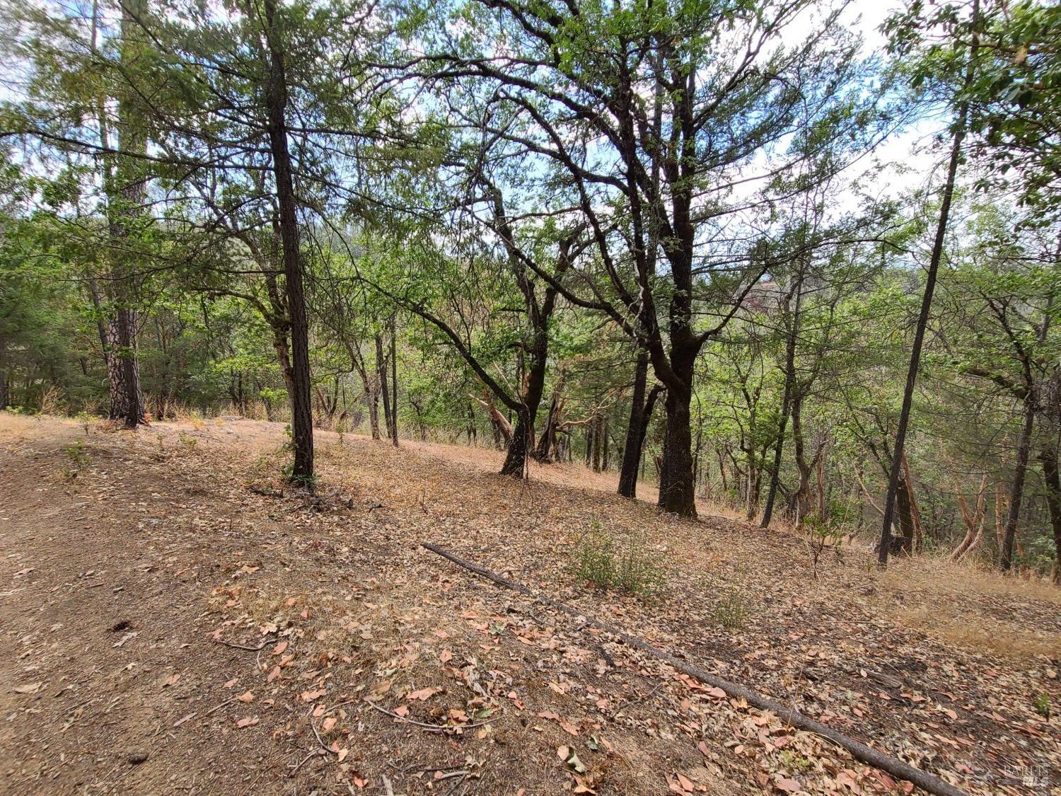 Covelo CA 95428