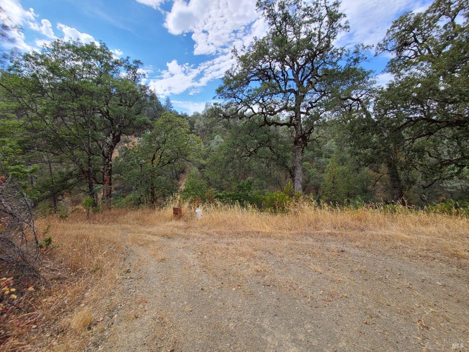 Covelo CA 95428